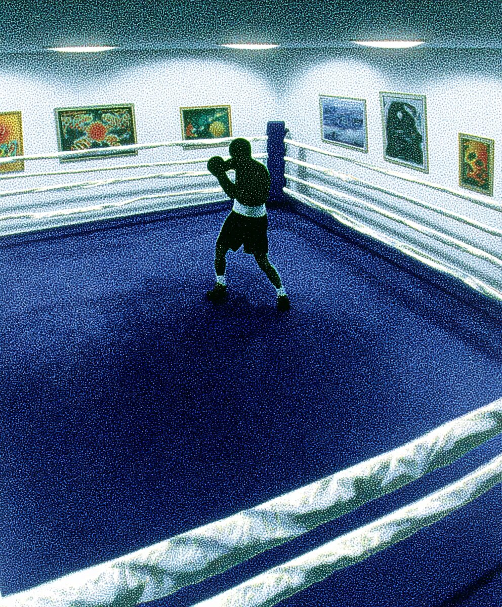 Boxer